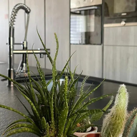 Coolhuys 84 Ferienhaus *